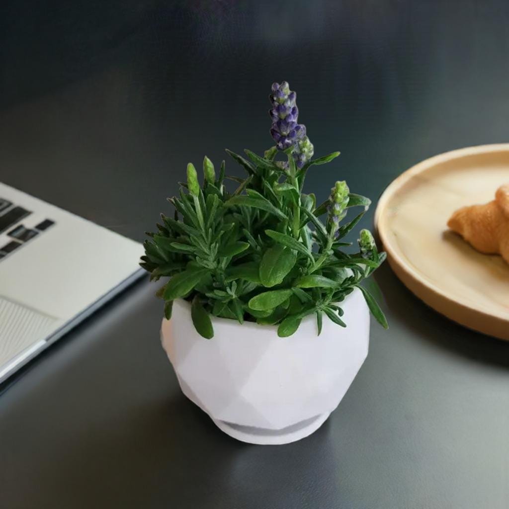Geometric Planter Pot | Modern Polygon Flower Pot | Faceted Succulent Container | Indoor Plant Holder | Contemporary Home Decor - BatCountryCraftsUSA