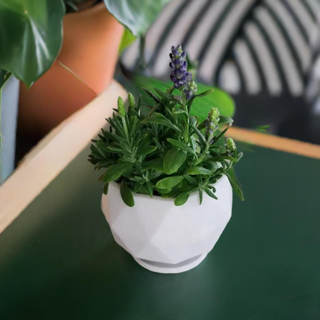 Geometric Planter Pot | Modern Polygon Flower Pot | Faceted Succulent Container | Indoor Plant Holder | Contemporary Home Decor - BatCountryCraftsUSA