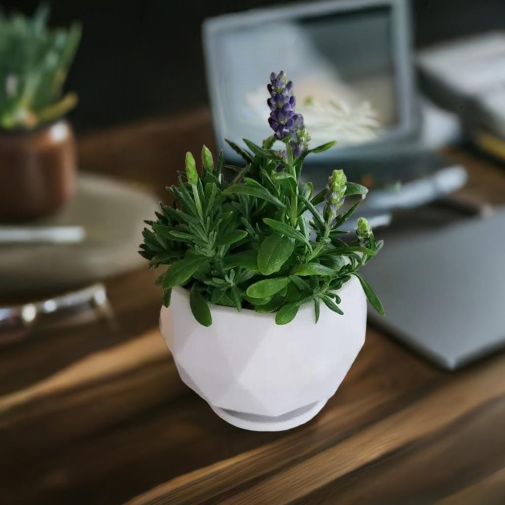 Geometric Planter Pot | Modern Polygon Flower Pot | Faceted Succulent Container | Indoor Plant Holder | Contemporary Home Decor - BatCountryCraftsUSA