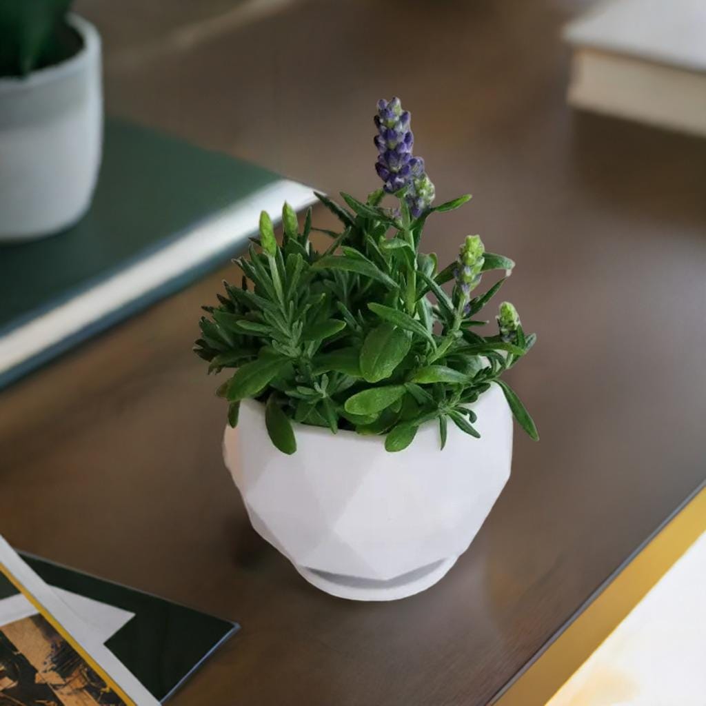 Geometric Planter Pot | Modern Polygon Flower Pot | Faceted Succulent Container | Indoor Plant Holder | Contemporary Home Decor - BatCountryCraftsUSA