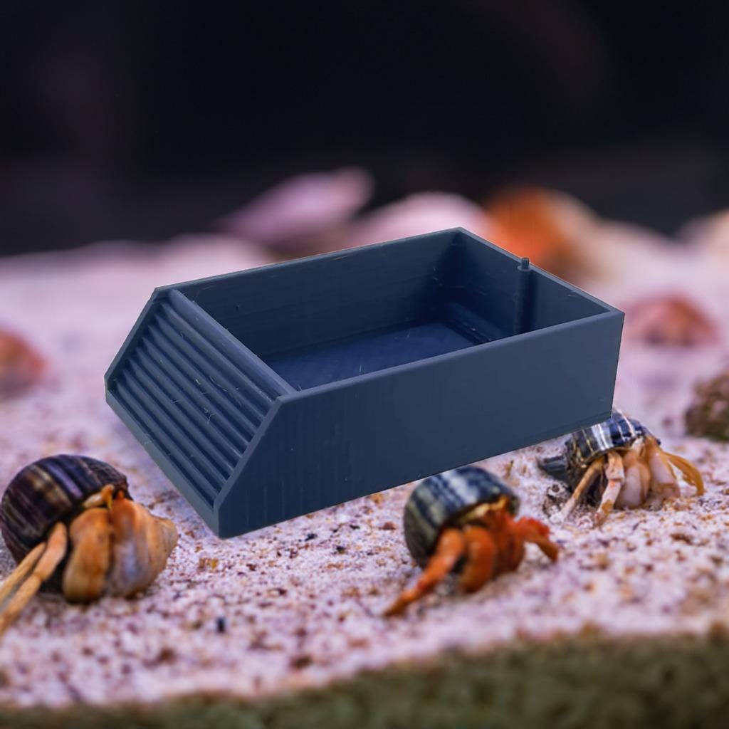 Hermit Crab Pool with Bubbler Attachment | Oxygenated Water Dish | Crabitat Aqua Filter | Pet Aerator Bath - BatCountryCraftsUSA
