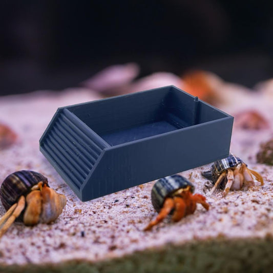 Hermit Crab Pool with Bubbler Attachment | Oxygenated Water Dish | Crabitat Aqua Filter | Pet Aerator Bath - BatCountryCraftsUSA