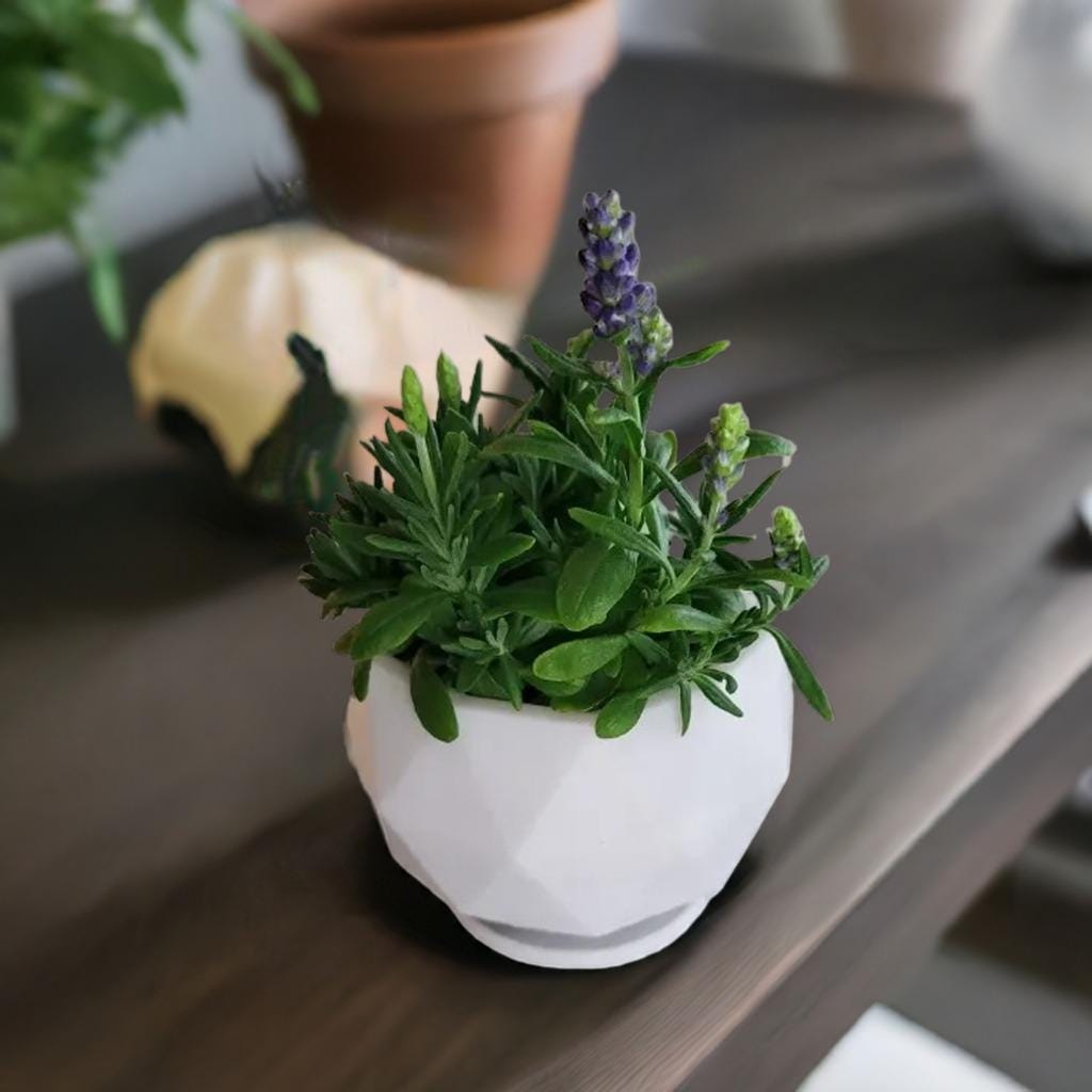 Geometric Planter Pot | Modern Polygon Flower Pot | Faceted Succulent Container | Indoor Plant Holder | Contemporary Home Decor - BatCountryCraftsUSA